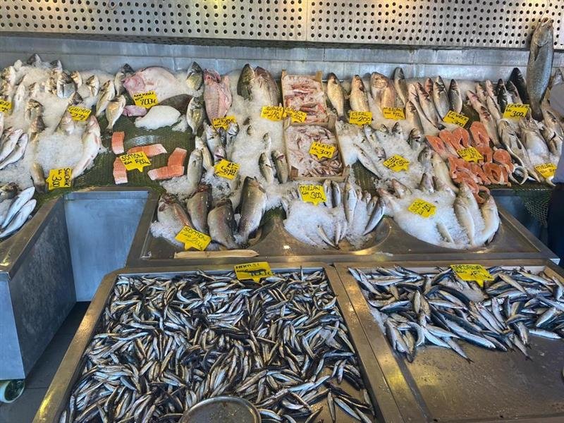 BALIKÇI GEMİLERİNDEN ÇAĞRI: MALİYETLERİMİZ ÇOK YÜKSEK CUMHURBAŞKANIMIZDAN DESTEK BEKLİYORUZ  Balık sezonunun açılması ile birlikte